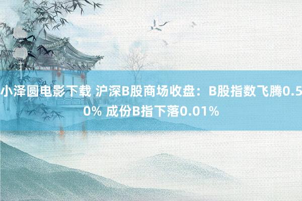小泽圆电影下载 沪深B股商场收盘：B股指数飞腾0.50% 成份B指下落0.01%