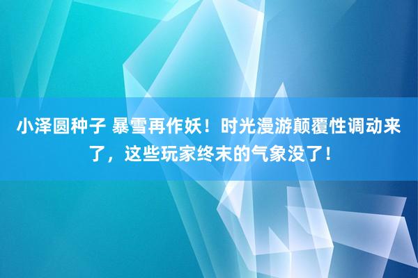 小泽圆种子 暴雪再作妖！时光漫游颠覆性调动来了，这些玩家终末的气象没了！