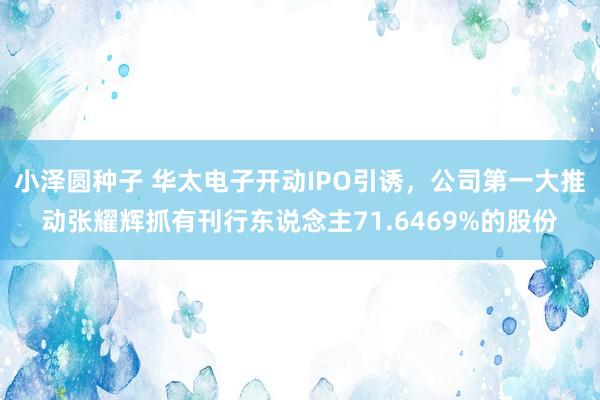 小泽圆种子 华太电子开动IPO引诱，公司第一大推动张耀辉抓有刊行东说念主71.6469%的股份