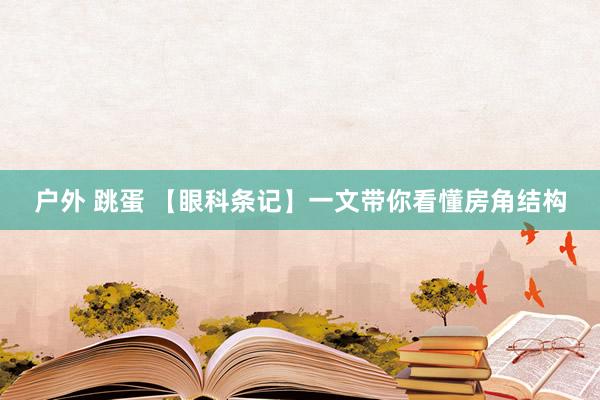 户外 跳蛋 【眼科条记】一文带你看懂房角结构