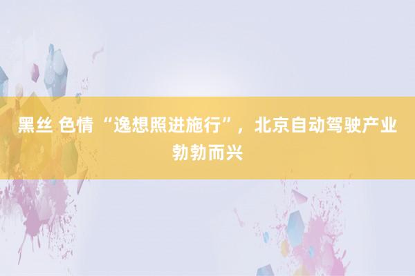 黑丝 色情 “逸想照进施行”，北京自动驾驶产业勃勃而兴