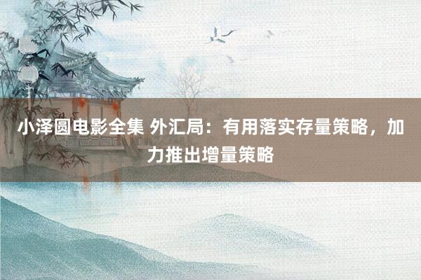 小泽圆电影全集 外汇局：有用落实存量策略，加力推出增量策略