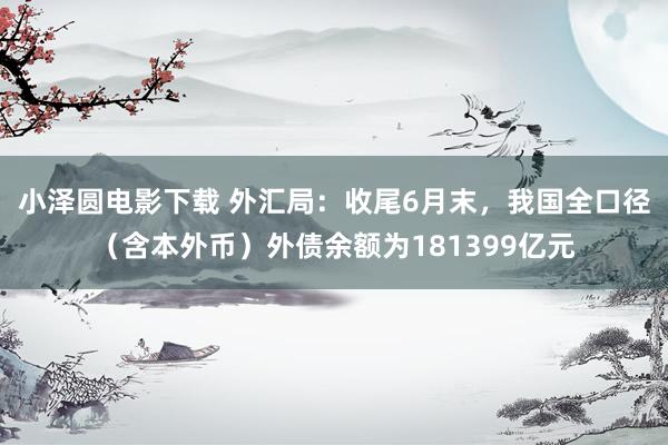 小泽圆电影下载 外汇局：收尾6月末，我国全口径（含本外币）外债余额为181399亿元