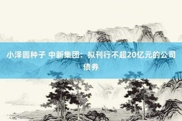小泽圆种子 中新集团：拟刊行不超20亿元的公司债券