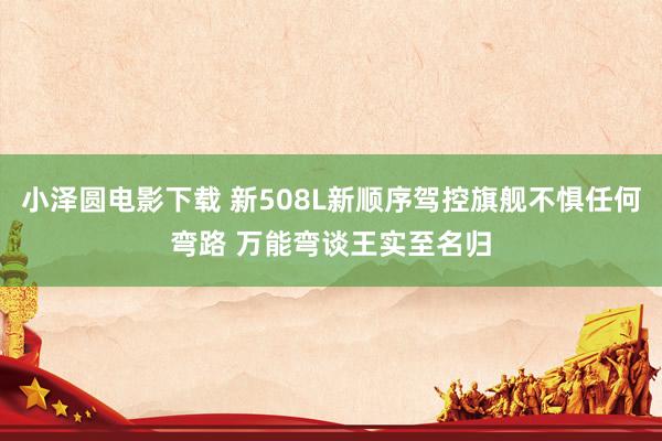 小泽圆电影下载 新508L新顺序驾控旗舰不惧任何弯路 万能弯谈王实至名归