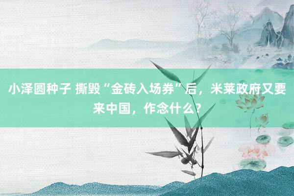 小泽圆种子 撕毁“金砖入场券”后，米莱政府又要来中国，作念什么？