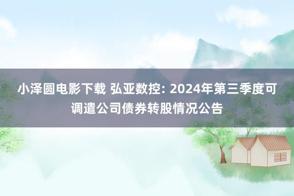 小泽圆电影下载 弘亚数控: 2024年第三季度可调遣公司债券转股情况公告