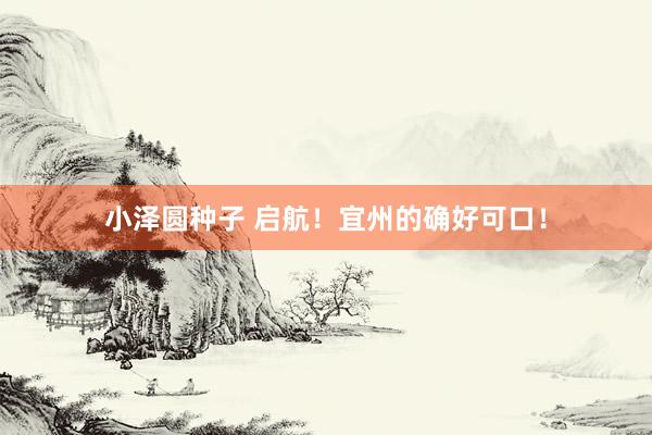 小泽圆种子 启航！宜州的确好可口！