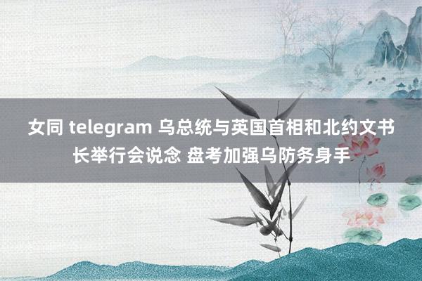 女同 telegram 乌总统与英国首相和北约文书长举行会说念 盘考加强乌防务身手
