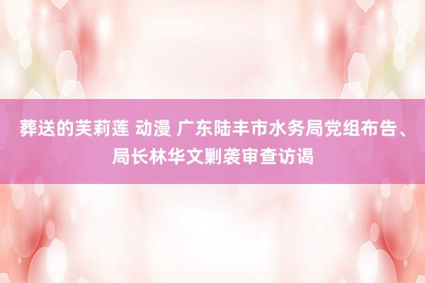 葬送的芙莉莲 动漫 广东陆丰市水务局党组布告、局长林华文剿袭审查访谒