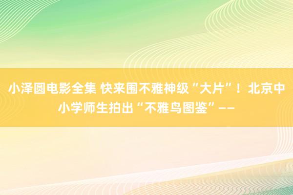 小泽圆电影全集 快来围不雅神级“大片”！北京中小学师生拍出“不雅鸟图鉴”——