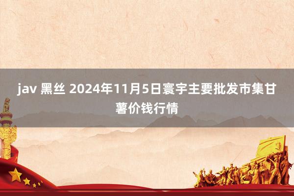 jav 黑丝 2024年11月5日寰宇主要批发市集甘薯价钱行情