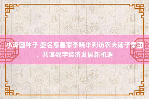 小泽圆种子 盛名慈善家李晓华到访农夫铺子集团，共谋数字经济发展新机遇