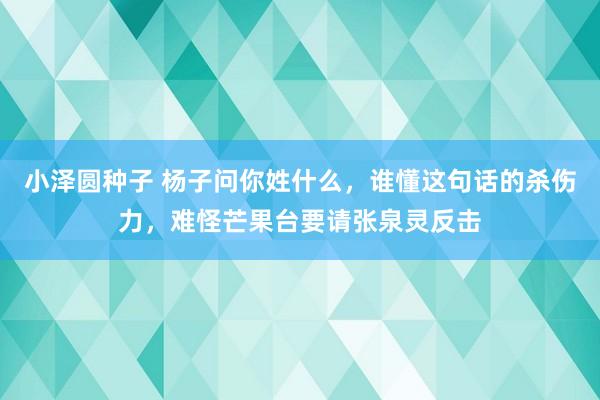 小泽圆种子 杨子问你姓什么，谁懂这句话的杀伤力，难怪芒果台要请张泉灵反击