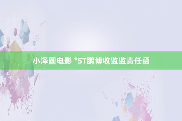 小泽圆电影 *ST鹏博收监监责任函