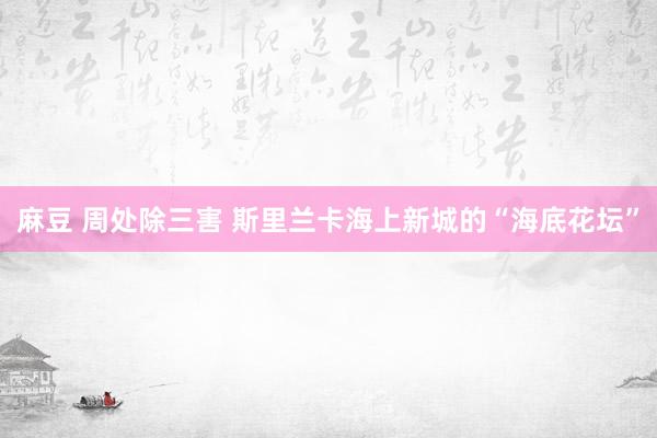 麻豆 周处除三害 斯里兰卡海上新城的“海底花坛”