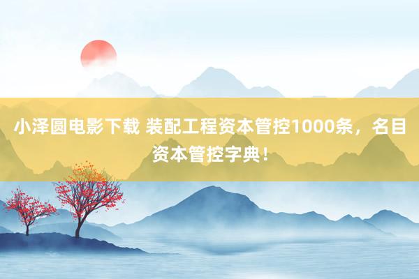 小泽圆电影下载 装配工程资本管控1000条，名目资本管控字典！