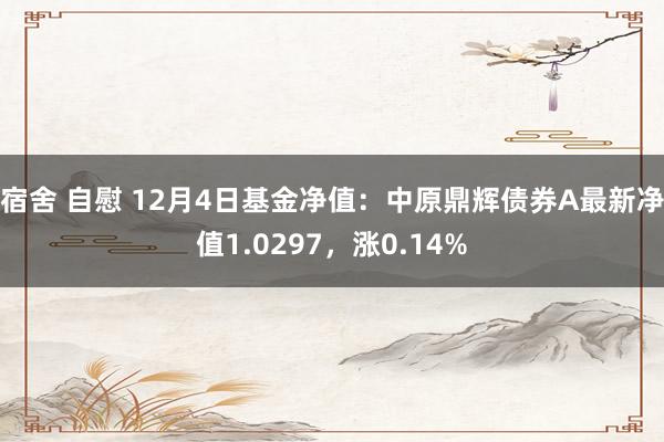 宿舍 自慰 12月4日基金净值：中原鼎辉债券A最新净值1.0297，涨0.14%