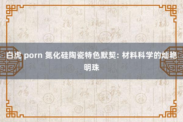 白虎 porn 氮化硅陶瓷特色默契: 材料科学的灿艳明珠