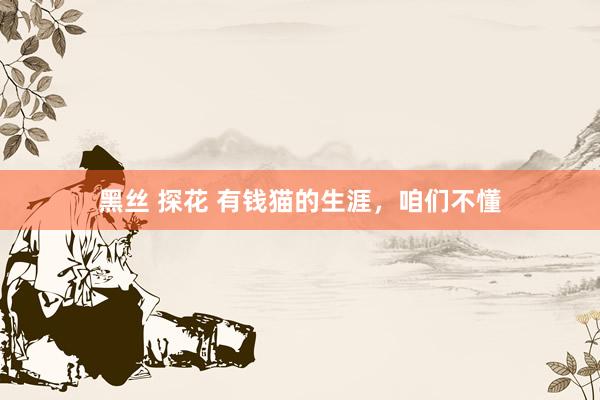 黑丝 探花 有钱猫的生涯，咱们不懂