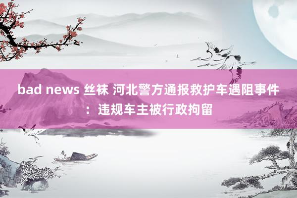 bad news 丝袜 河北警方通报救护车遇阻事件：违规车主被行政拘留