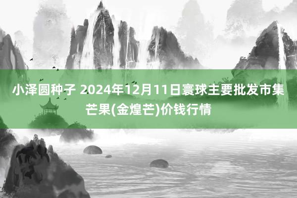 小泽圆种子 2024年12月11日寰球主要批发市集芒果(金煌芒)价钱行情