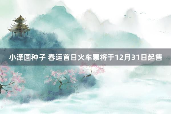 小泽圆种子 春运首日火车票将于12月31日起售