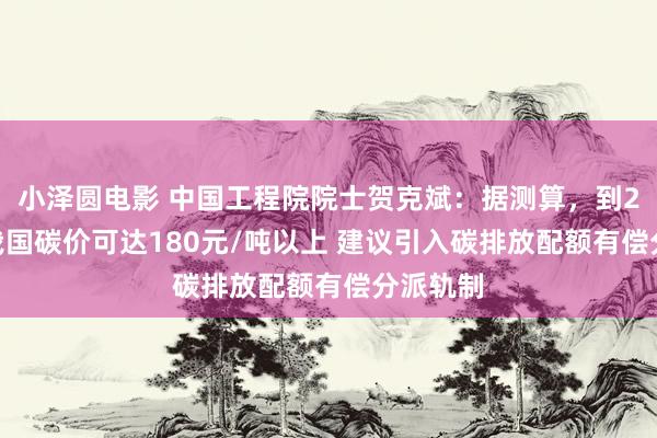 小泽圆电影 中国工程院院士贺克斌：据测算，到2030年我国碳价可达180元/吨以上 建议引入碳排放配额有偿分派轨制