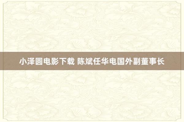 小泽圆电影下载 陈斌任华电国外副董事长