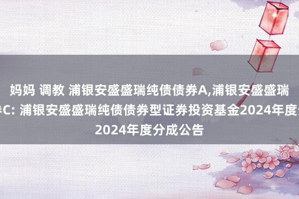 妈妈 调教 浦银安盛盛瑞纯债债券A,浦银安盛盛瑞纯债债券C: 浦银安盛盛瑞纯债债券型证券投资基金2024年度分成公告