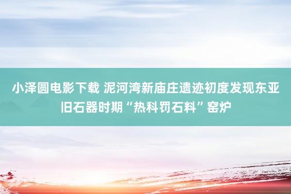 小泽圆电影下载 泥河湾新庙庄遗迹初度发现东亚旧石器时期“热科罚石料”窑炉