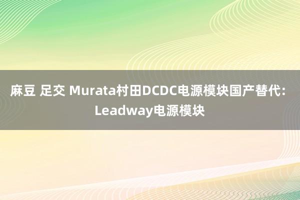 麻豆 足交 Murata村田DCDC电源模块国产替代: Leadway电源模块