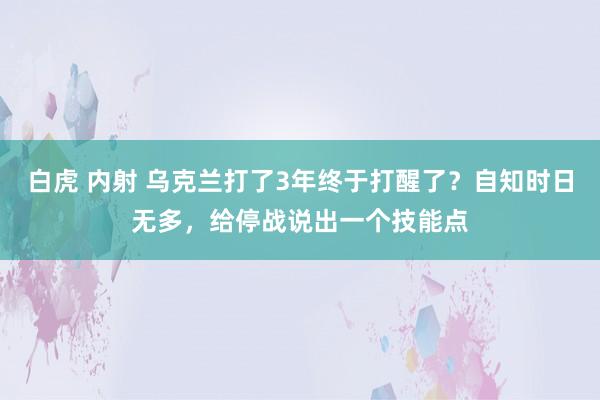 白虎 内射 乌克兰打了3年终于打醒了？自知时日无多，给停战说出一个技能点