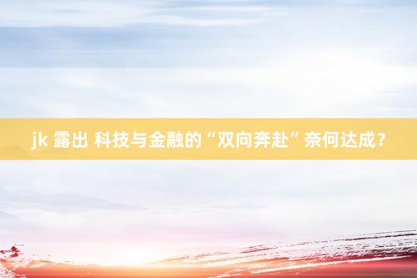 jk 露出 科技与金融的“双向奔赴”奈何达成？