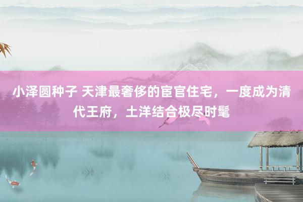 小泽圆种子 天津最奢侈的宦官住宅，一度成为清代王府，土洋结合极尽时髦