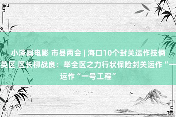 小泽圆电影 市县两会 | 海口10个封关运作技俩7个在秀英区 区长柳战良：举全区之力行状保险封关运作“一号工程”