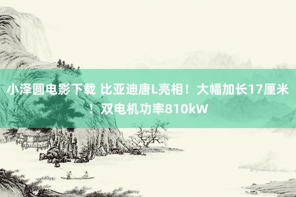 小泽圆电影下载 比亚迪唐L亮相！大幅加长17厘米！双电机功率810kW