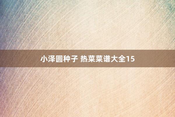 小泽圆种子 热菜菜谱大全15