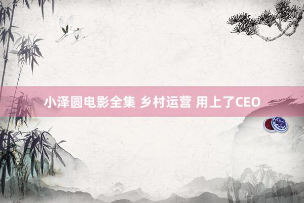 小泽圆电影全集 乡村运营 用上了CEO