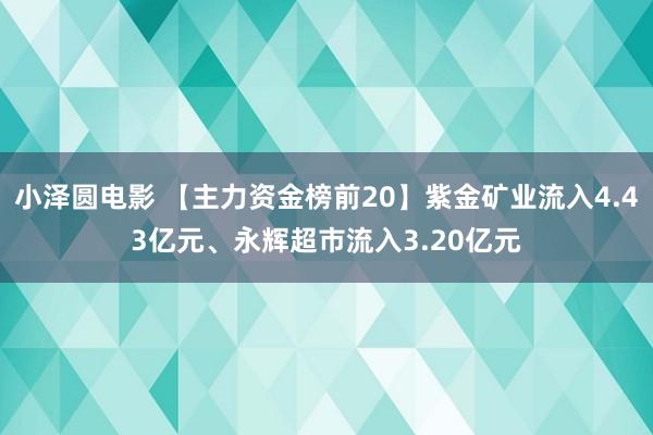 小泽圆电影 【主力资金榜前20】紫金矿业流入4.43亿元、永辉超市流入3.20亿元