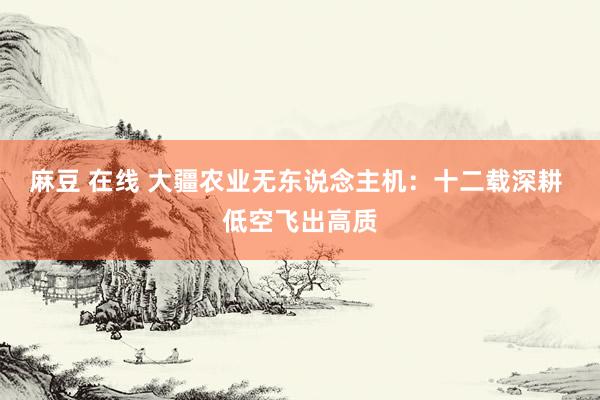 麻豆 在线 大疆农业无东说念主机：十二载深耕 低空飞出高质
