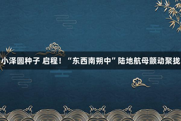 小泽圆种子 启程！“东西南朔中”陆地航母颤动聚拢