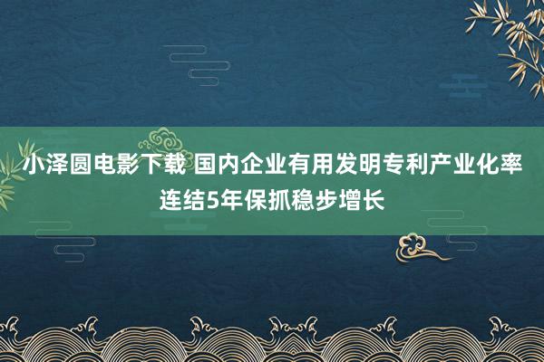 小泽圆电影下载 国内企业有用发明专利产业化率连结5年保抓稳步增长