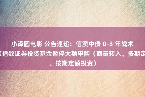 小泽圆电影 公告速递：信澳中债 0-3 年战术性金融债指数证券投资基金暂停大额申购（商量转入、按期定额投资）