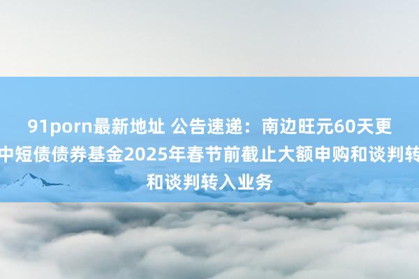 91porn最新地址 公告速递：南边旺元60天更正捏有中短债债券基金2025年春节前截止大额申购和谈