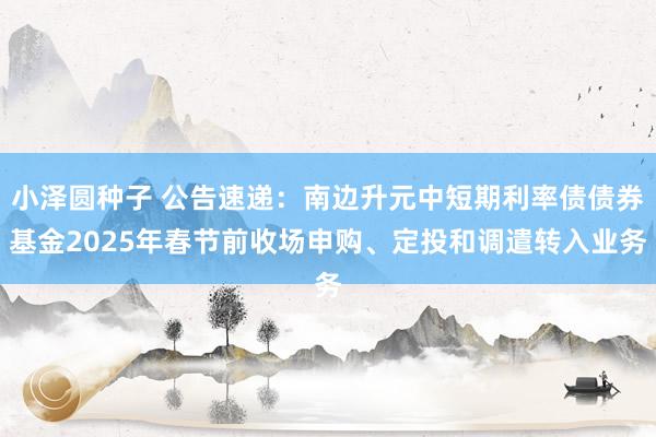小泽圆种子 公告速递：南边升元中短期利率债债券基金2025年春节前收场申购、定投和调遣转入业务