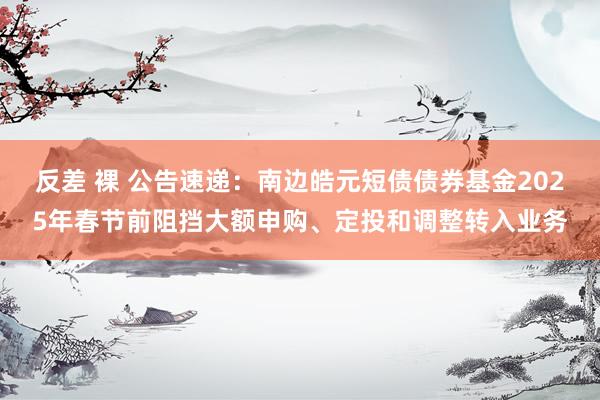 反差 裸 公告速递：南边皓元短债债券基金2025年春节前阻挡大额申购、定投和调整转入业务