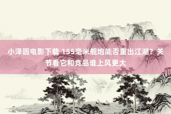 小泽圆电影下载 155毫米舰炮能否重出江湖？关节看它和竞品谁上风更大
