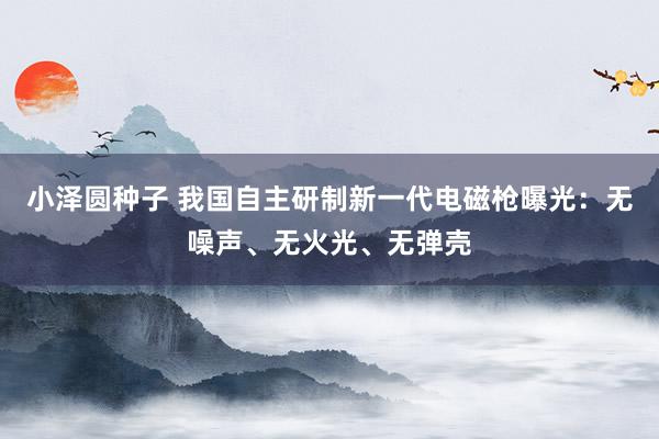 小泽圆种子 我国自主研制新一代电磁枪曝光：无噪声、无火光、无弹壳