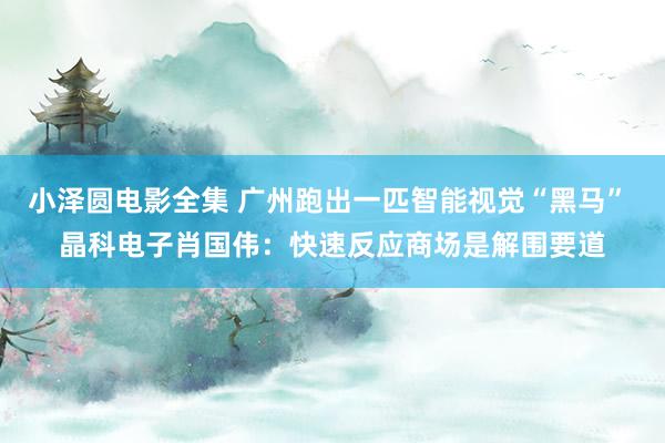 小泽圆电影全集 广州跑出一匹智能视觉“黑马” 晶科电子肖国伟：快速反应商场是解围要道